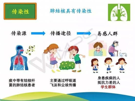 师生健康 中国健康南京市竹山中学红十字会开展防治结核病宣传活动3
