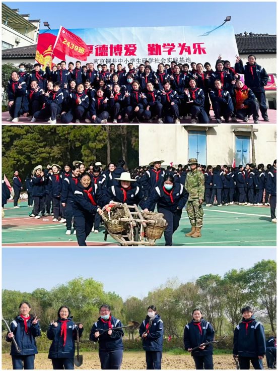 33a654462d77a9f92609e9f8504c598