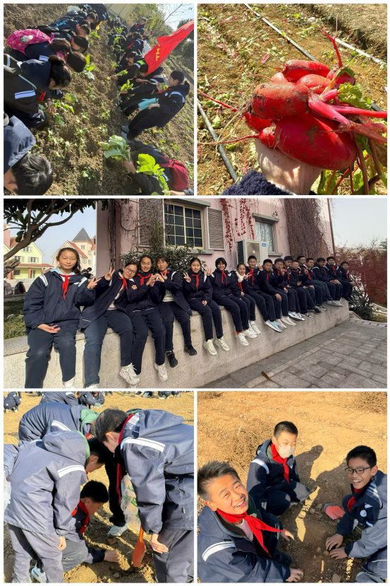 d60539e4288728d1a2b77a7823ef269