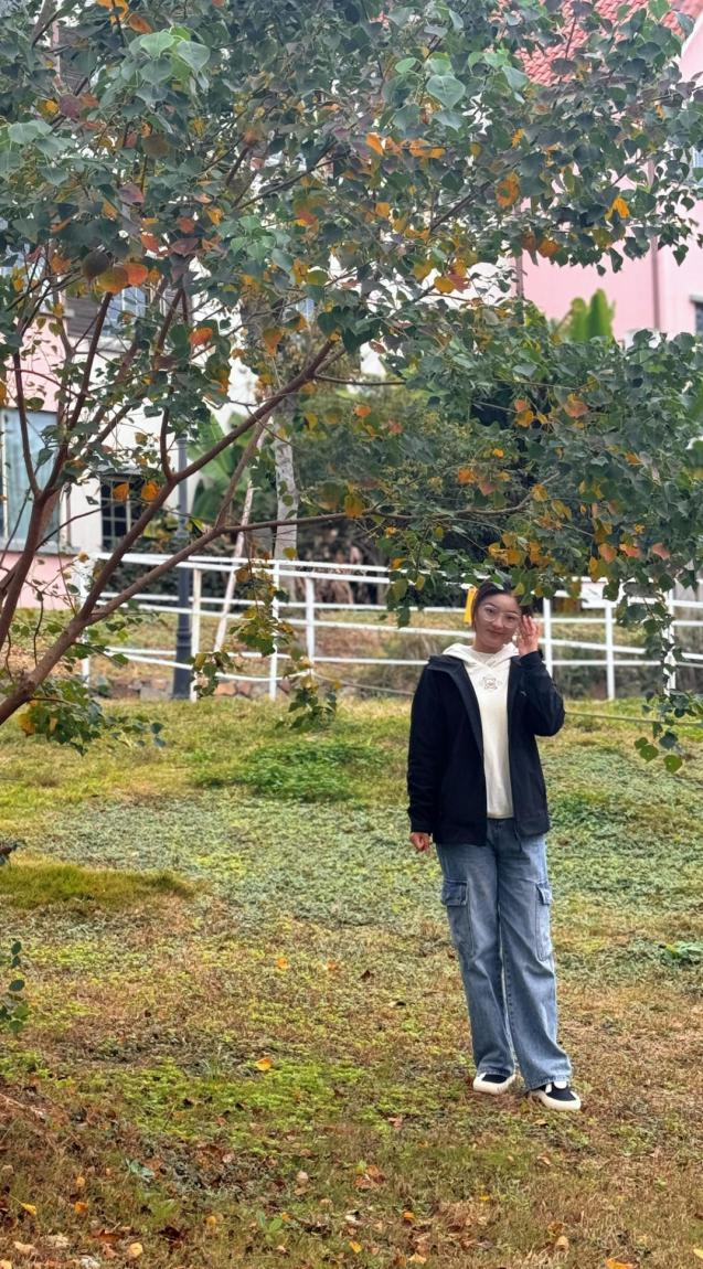 董莹莹.png